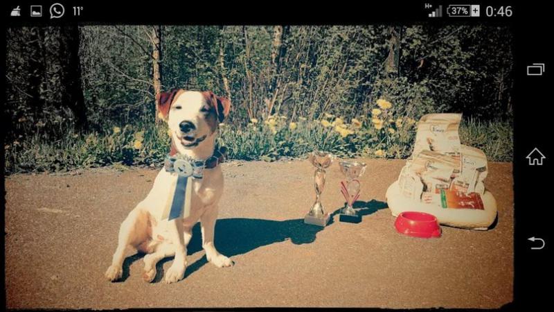 ������ ������ ������. ���������� �����