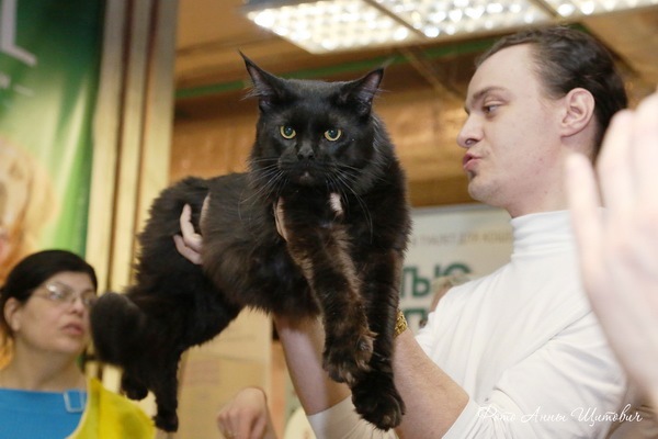 ����-���. ���������� �����