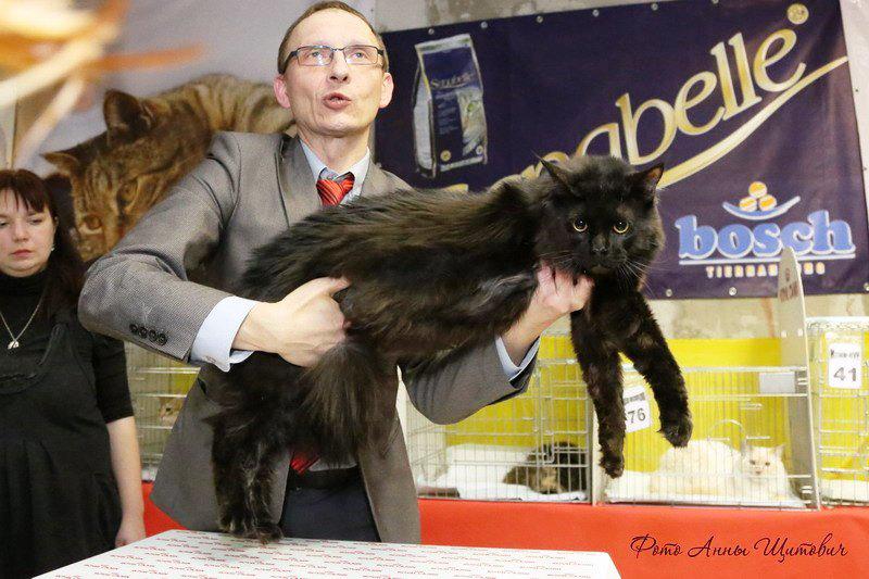 ����-���. ���������� �����