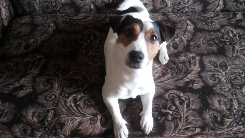 ���� ������ ������. ���������� �����