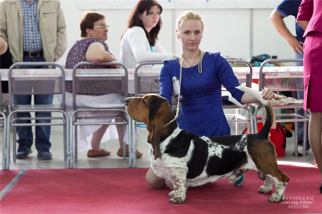 ������-�����. ���������� �����