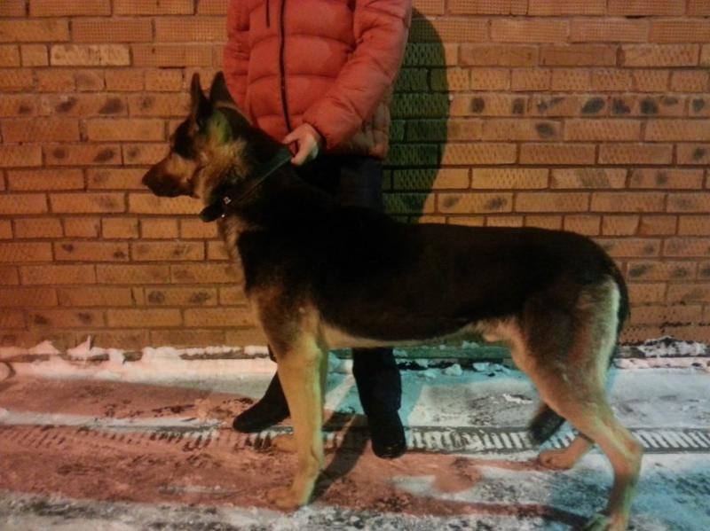 ������������������� �������. ���������� �����