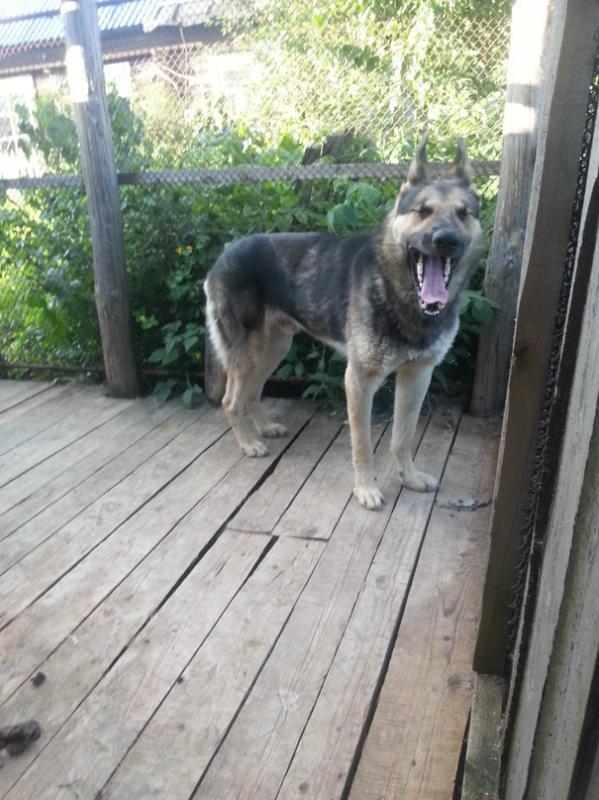 ������������������� �������. ���������� �����