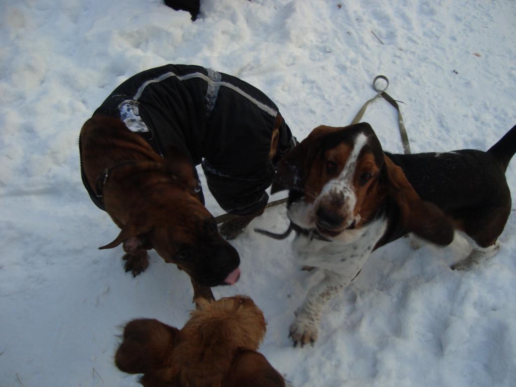 ������-�����. ���������� �����