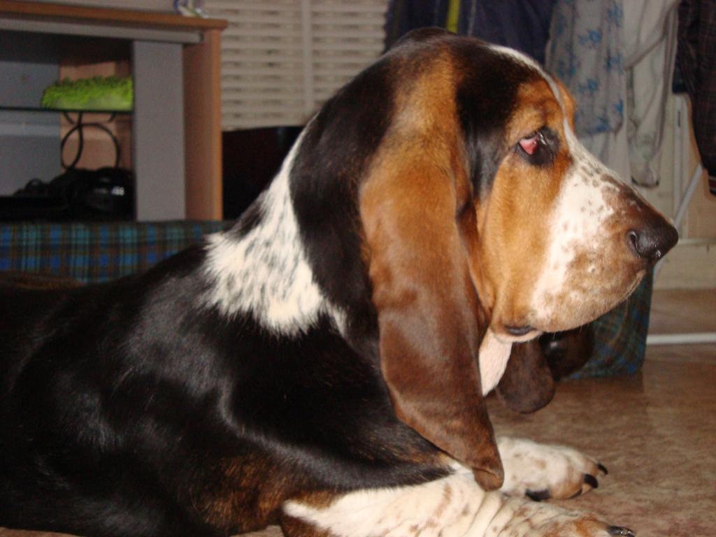 ������-�����. ���������� �����