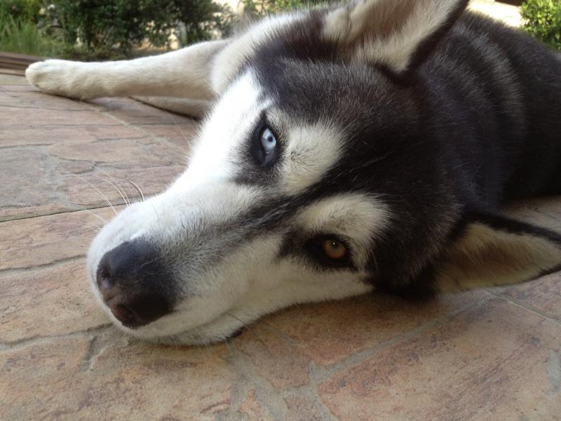 ��������� �����. ���������� �����