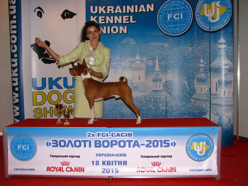 ��������. ���������� �����