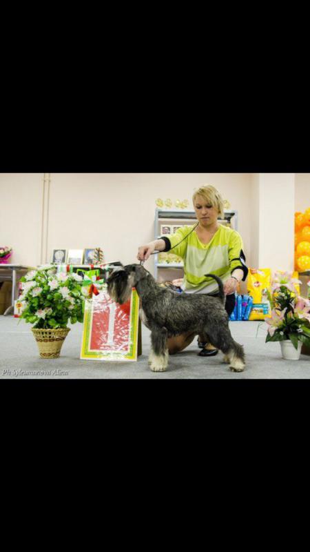 �������������