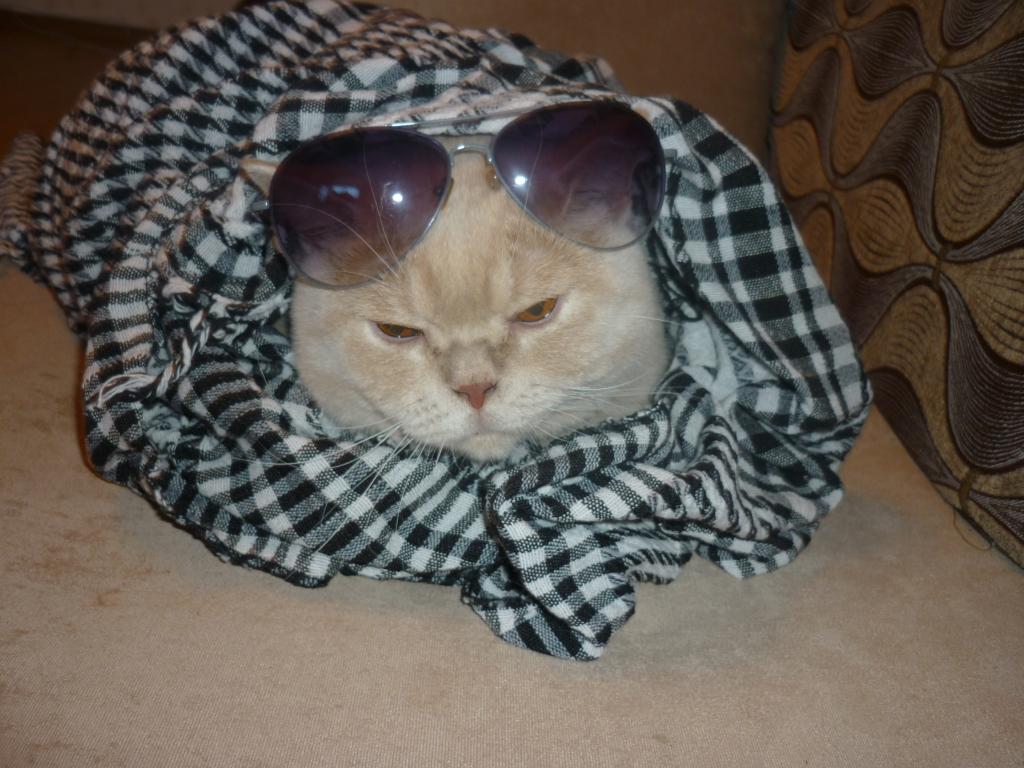 ���������� ���������������. ���������� �����