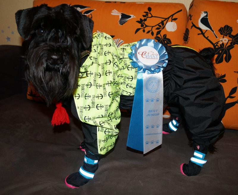 �������������