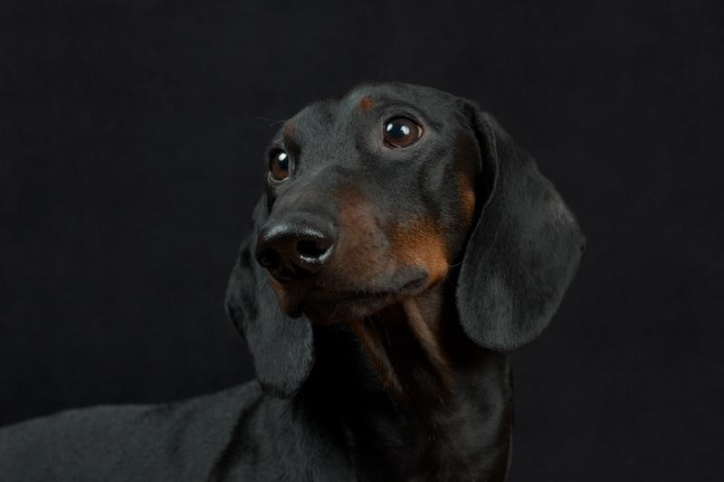 �����. ���������� �����