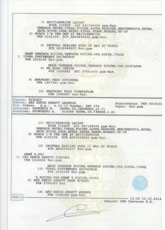 ���������� �������. ���������� �����