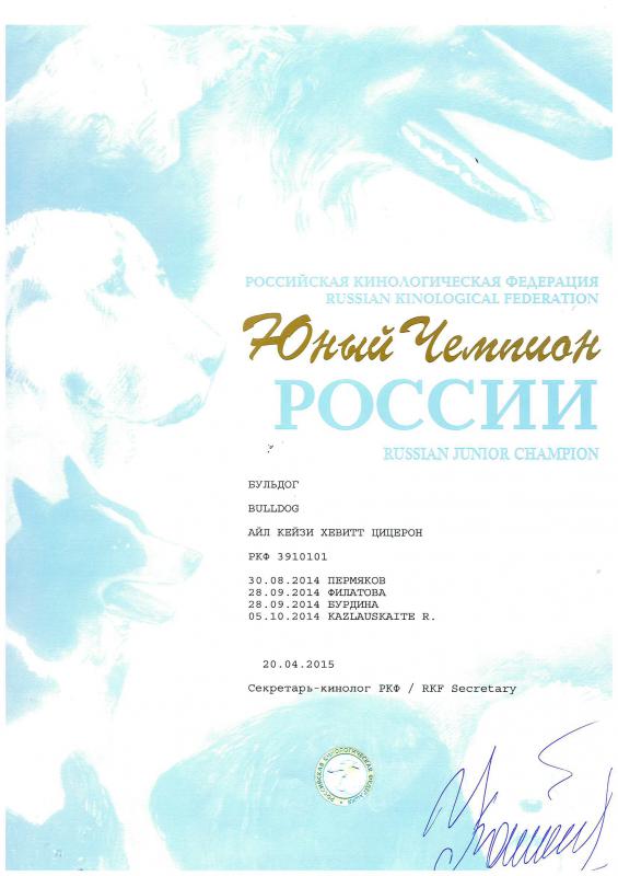 ���������� �������. ���������� �����