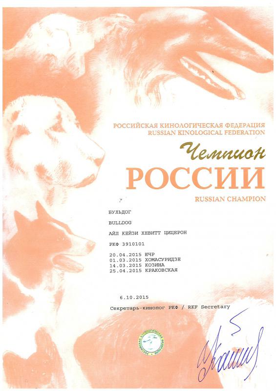 ���������� �������. ���������� �����