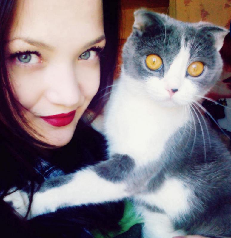 ���������� ��������������. ���������� �����