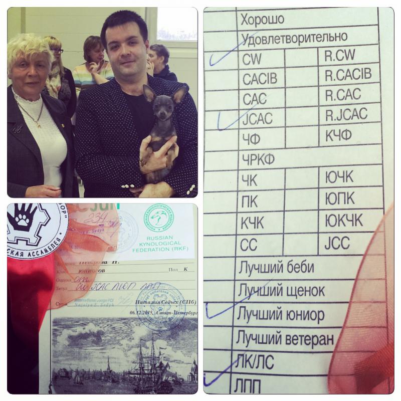 ������� ���-������. ���������� �����