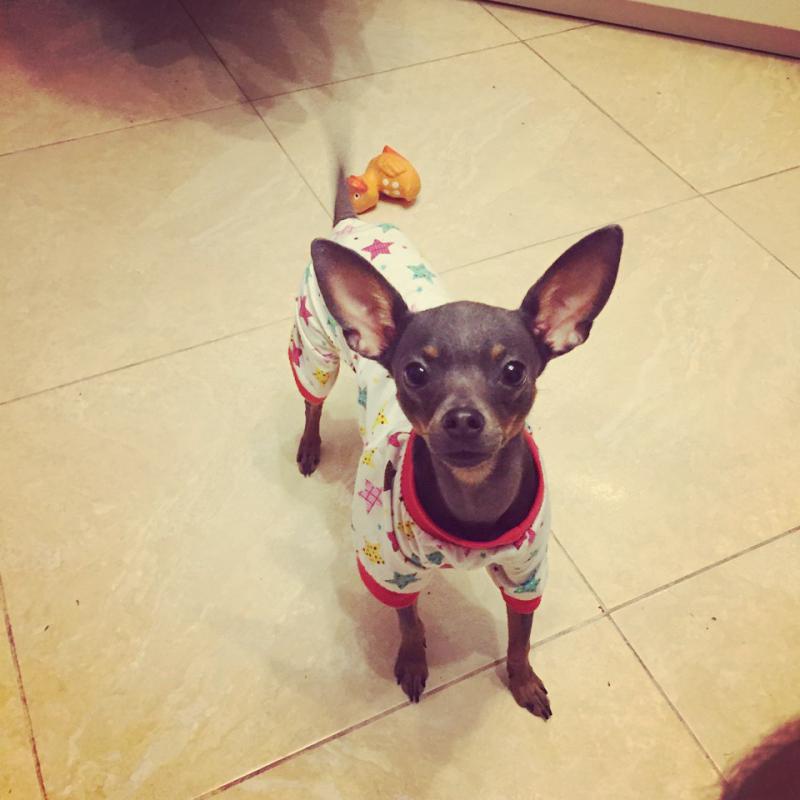 ������� ���-������. ���������� �����