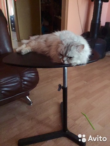 ���������� ��������������. ���������� �����