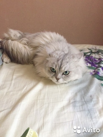 ���������� ��������������. ���������� �����