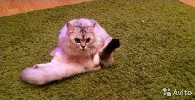 ���������� ��������������. ���������� �����