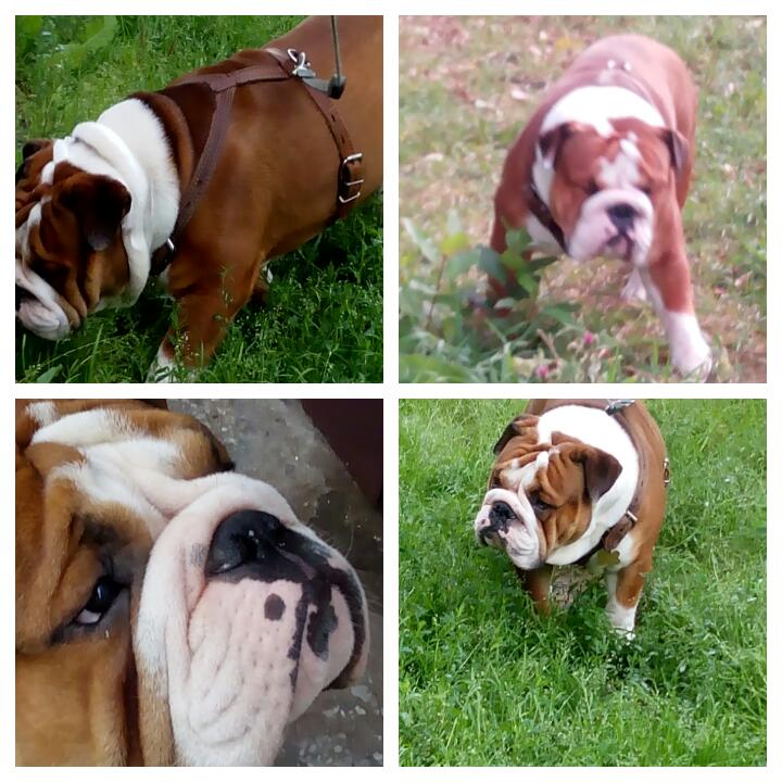 ���������� �������. ���������� �����