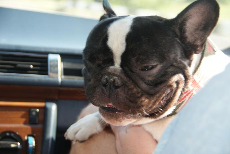 ����������� �������