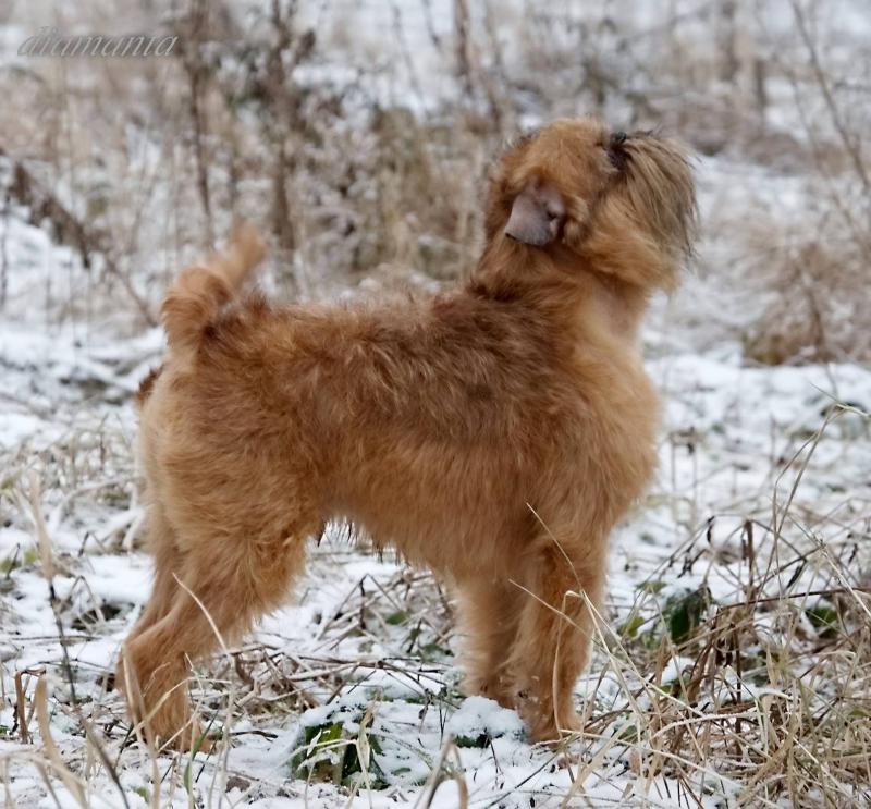 ������������ �������