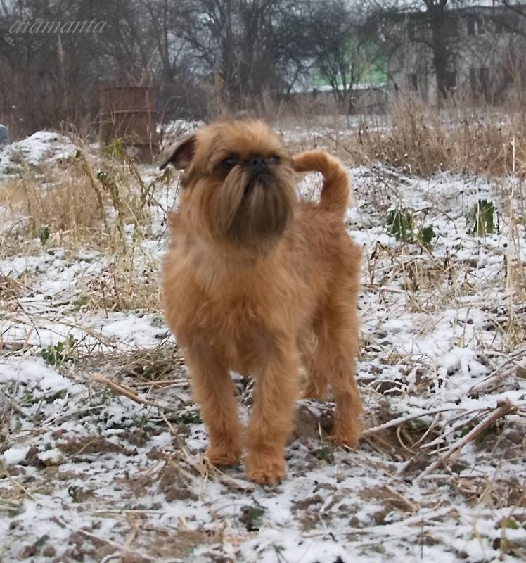 ������������ �������