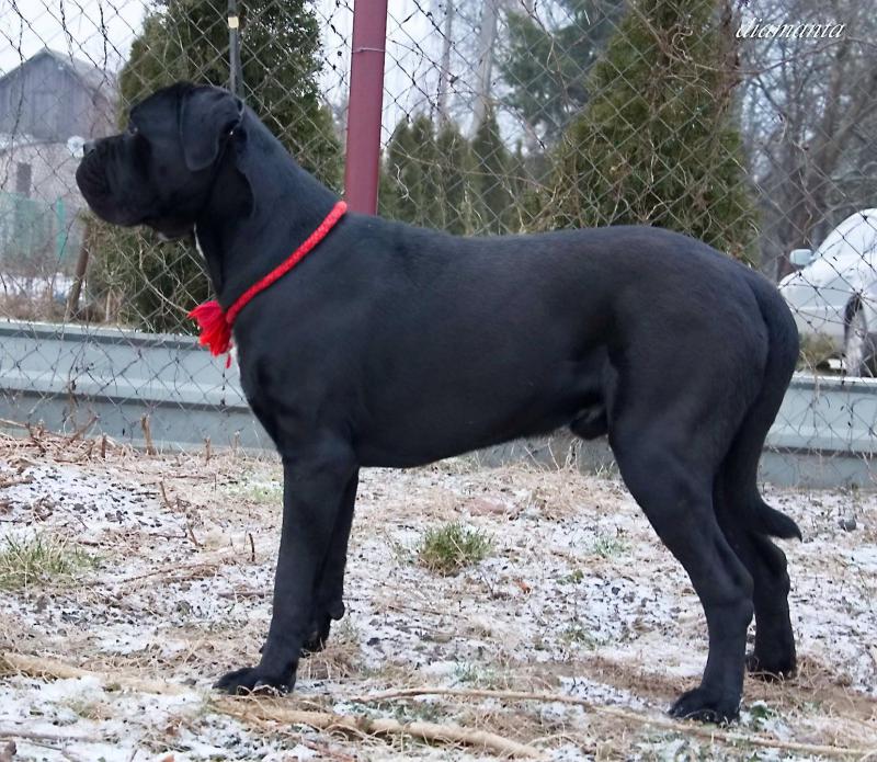 ���� �����. ���������� �����