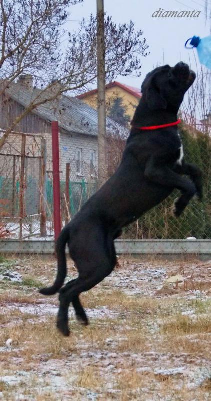 ���� �����. ���������� �����