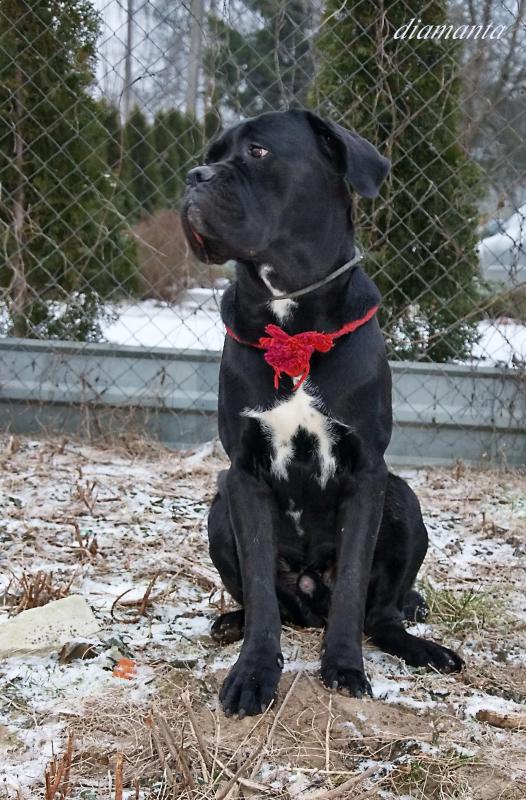 ���� �����. ���������� �����