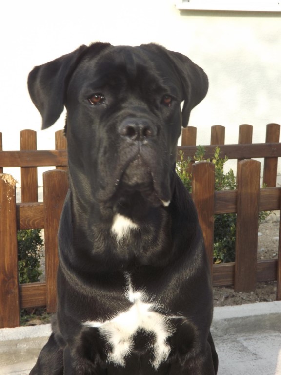 ���� �����. ���������� �����