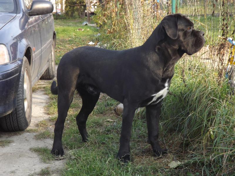 ���� �����. ���������� �����