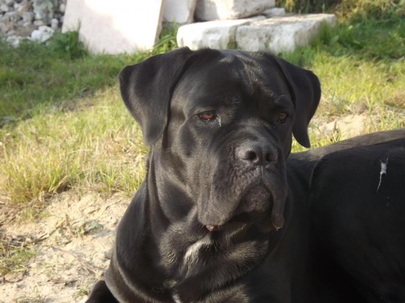 ���� �����. ���������� �����