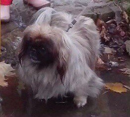 ������������� �������