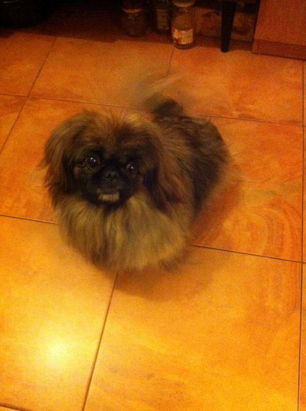 ������������� �������