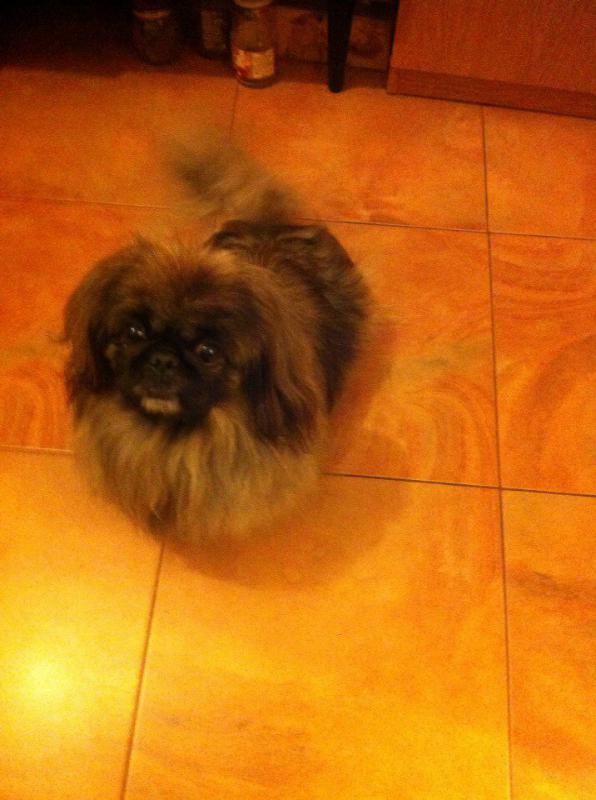 ������������� �������