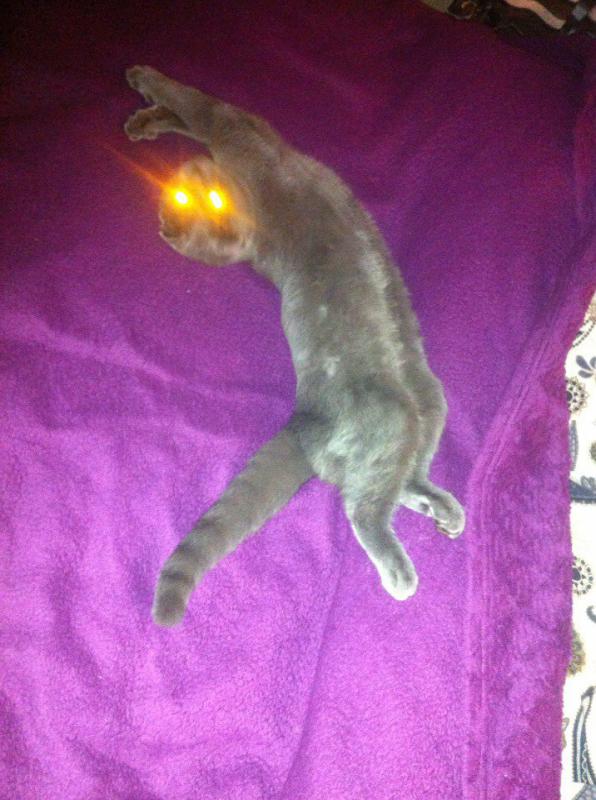 ����������� ��������������� ��������� (�������-������). ���������� �����