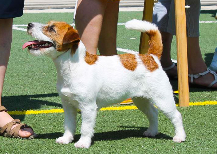 ���� ������ ������. ���������� �����