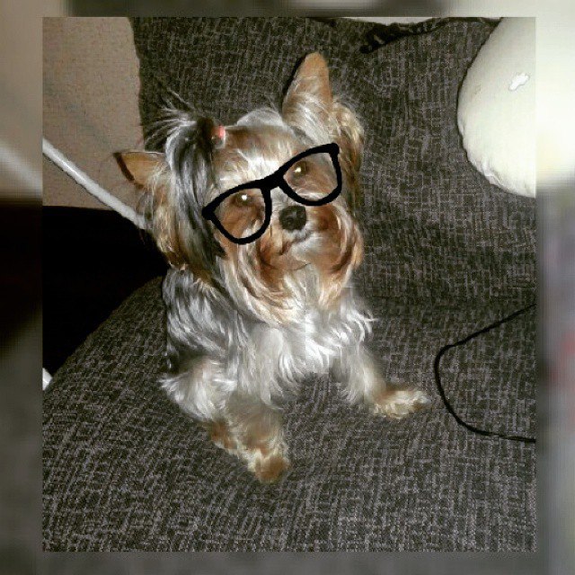 ����������� ������. ���������� �����