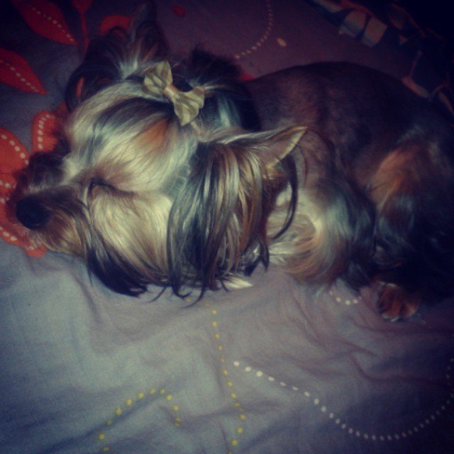 ����������� ������. ���������� �����