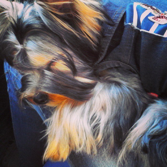 ����������� ������. ���������� �����