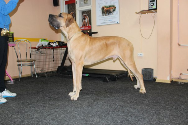 �������� ���. ���������� �����