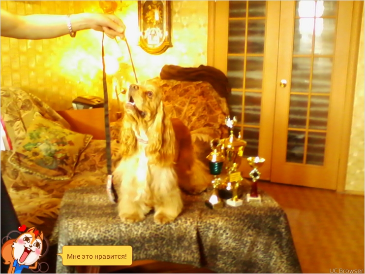 ������������ ����� ��������. ���������� �����