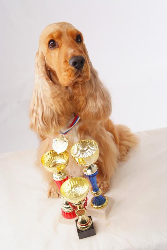 ���������� ����� ��������