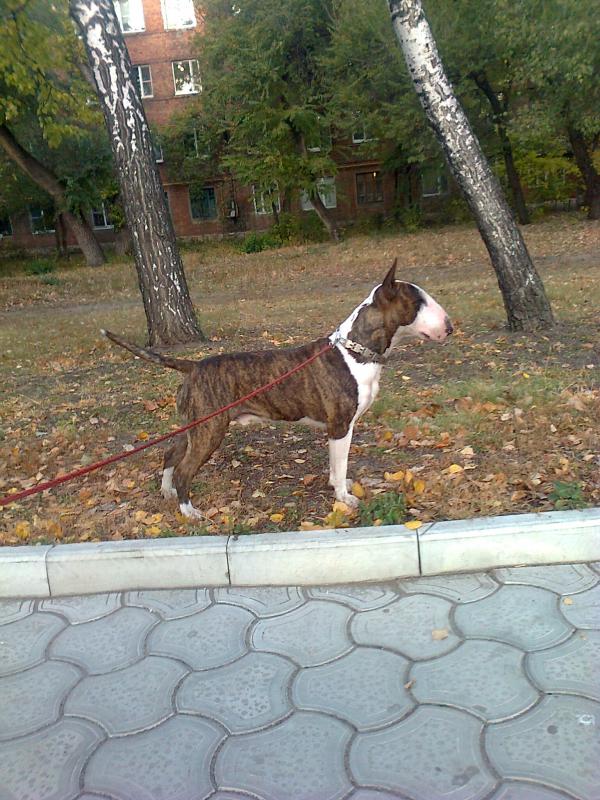 ����������. ���������� �����