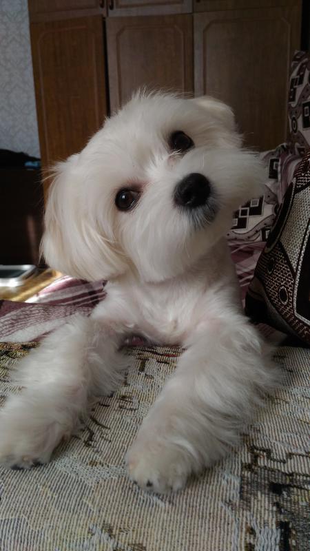 ��������. ���������� �����