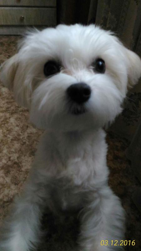 ��������. ���������� �����