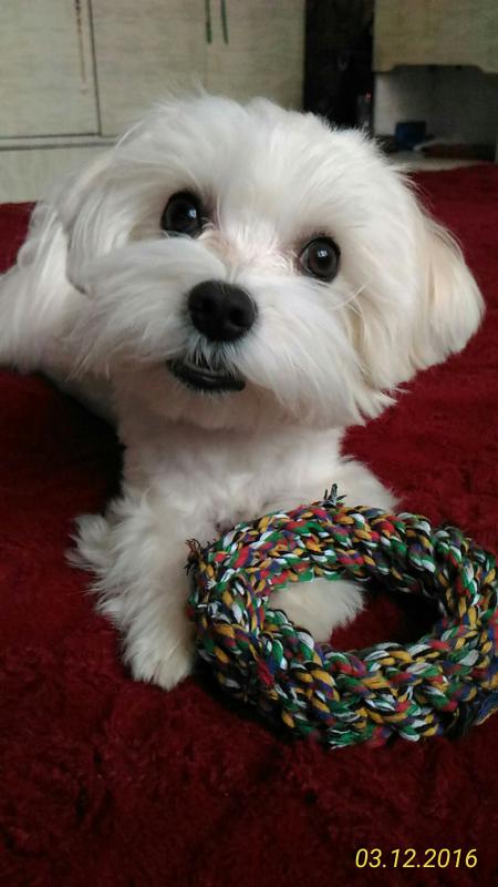 ��������. ���������� �����