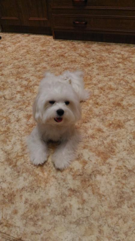 ��������. ���������� �����